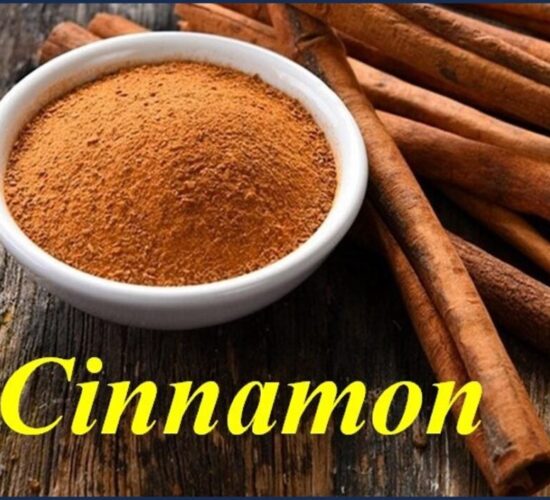 Cinnamon bubuk