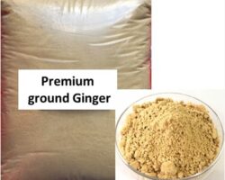 GROUND GINGER